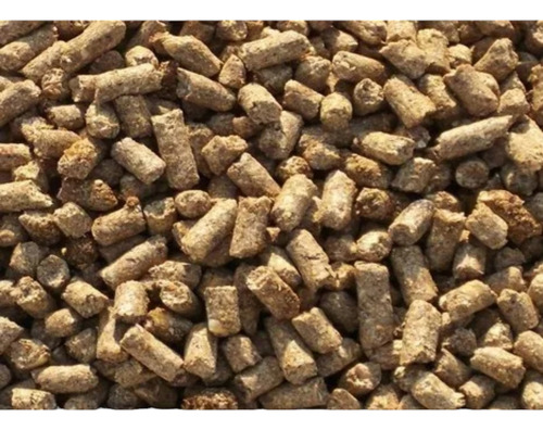 Alimento Cerdo Crecimiento 35kg Alto Concentrado Proteina