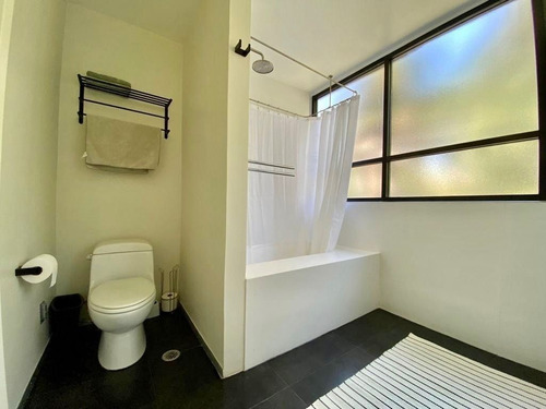 Furnished Apartment For Rent In Polanco Miguel Hidalgo Cdmx