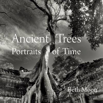 Ancient Trees: Portraits Of Time - Beth Moon