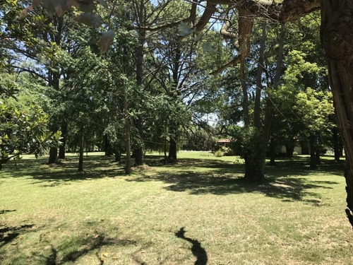 Oportunidad Única Venta De Campo Sobre Ruta Nacional 8 - Duggan, San Antonio De Areco - Mallmann Pro