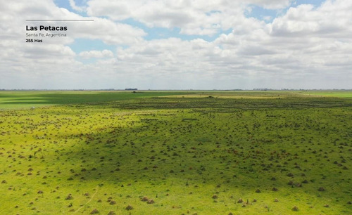 Campo De 255 Hectáreas En Las Petacas, Santa Fe