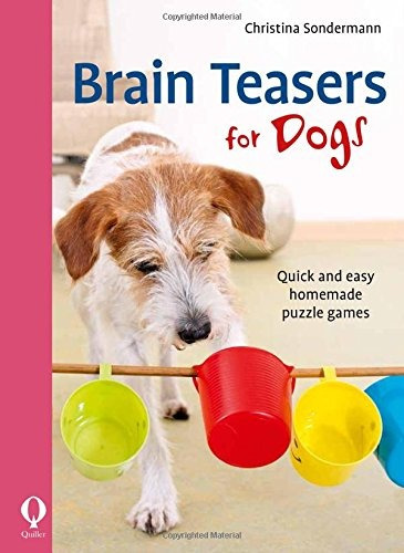 Brain Teasers For Dogs Quick And Easy Homemade Puzzle Games