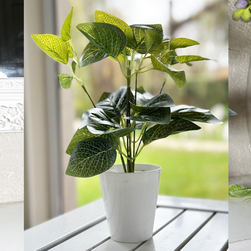 Planta Artificial Con Maceta Escritorio Conica + Piedras