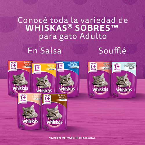 Whiskas Alimento Seco Para Gato Adulto Sabor Pescado 10kg