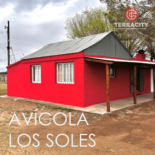 Venta Campo De 30 Ha De Unidad Productiva Avícola - Villa Mercedes, Provincia De San Luis 