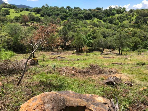 Imagen 7 de 12 de Terreno De 3.5 Hectáreas En San Antonio Zumpahuacan