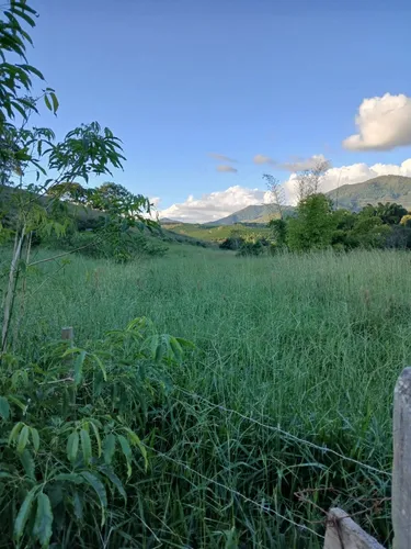 Propriedade Rural 22 Hectares