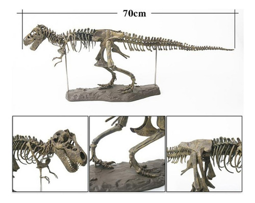 Modelo De Esqueleto De Dinosaurio: Ensamblaje Fósil De