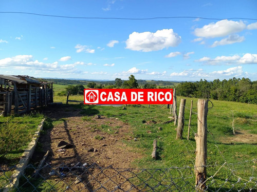 Imagem 4 de 10 de Sitio A Venda Em Ibaiti Pr - 641