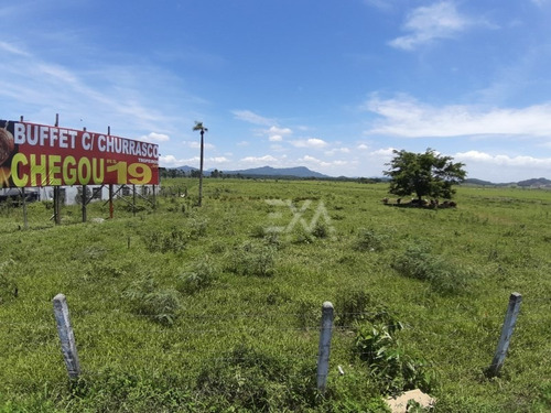 Imagem 10 de 25 de Terreno A Venda Na Br 101, Cidade De Penha (sc) - Exa Imóveis. - 0915