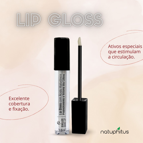 Lip Gloss Evelize Make Up
