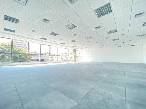 Imagem 10 de 16 de Sala Para Aluguel Em Cambuí - Sa008572