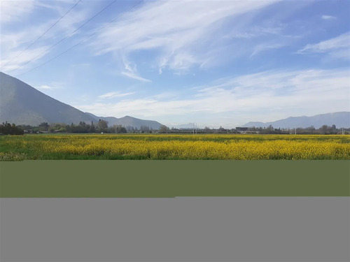 Ultimas Dos Parcelas En Venta En Isla De Maipo