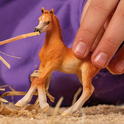 Potro Árabe Schleich Horse Club 3 Pulgadas Figura Colecciona