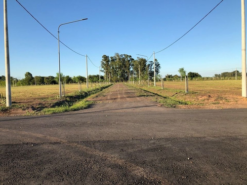 Terrenos En Villa Amelia Sobre Ruta Comercial - Ideal Negocio
