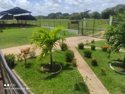 Imagen 15 de 17 de Niurka Paraguán 0414/8321738 Vende Hermosa Finca En Achaguas -apure