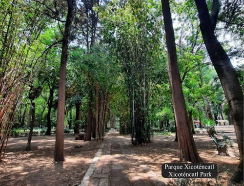 Apartamento Con Spa, Cine, Skybar, Alberca, Pista De Jogging