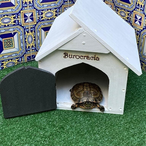 Casita Para  Tortuga Pirograbada