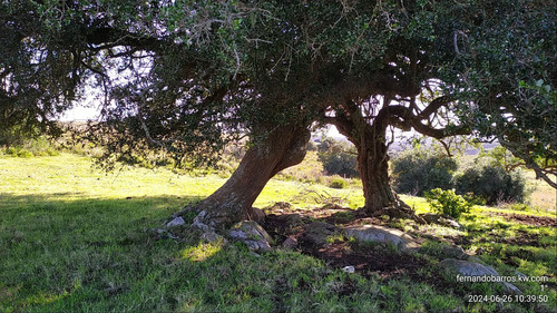 Oportunidad: Campo 20 Ha Venta En Las Sierras De Garzón