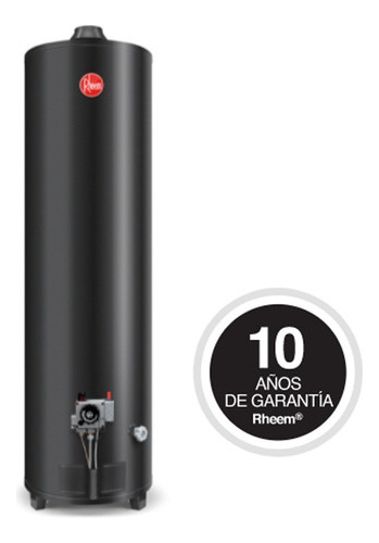 Imagen 3 de 4 de Termotanque a gas natural Rheem AP160 gris oscuro 160L