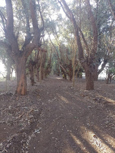 Terreno En Venta - 2800mts2 - Chacras De San Andrés, San Andrés De Giles