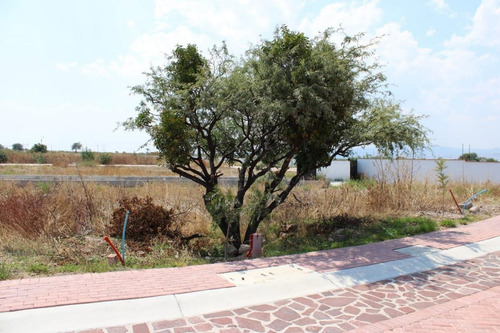 Imagen 6 de 17 de Terreno En Venta En Ciudad Maderas Sur