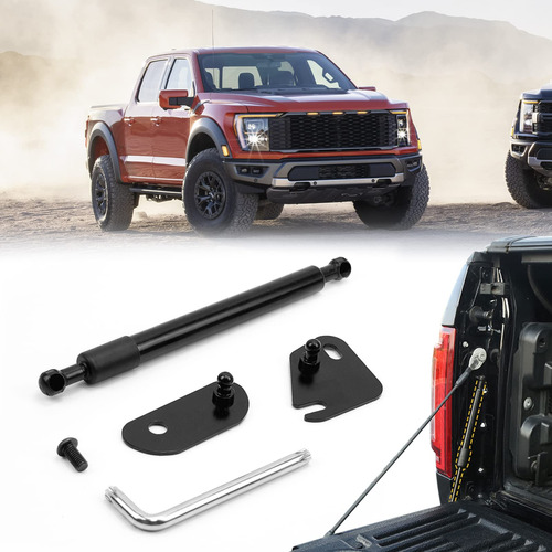 Amortiguador Asistencia Porton Trasero Para Ford F150 Choque