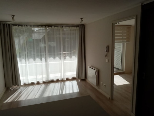 Depto. En Arriendo De 1 Dorm. En Calle Llanquihue P Varas