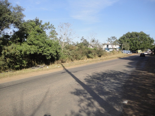 Imagem 9 de 15 de Terreno - Vila Augusta - Ref: 363827 - V-cs36005331