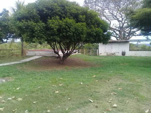 Imagen 4 de 12 de En Venta Finca De 7,5ha