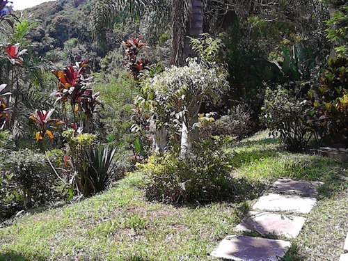 Chacara - Ch00024 - 33641904