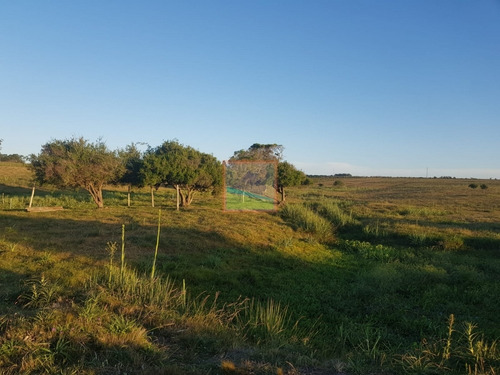 Imagen 12 de 12 de Chacra 7 Hás Rincón De José Ignacio