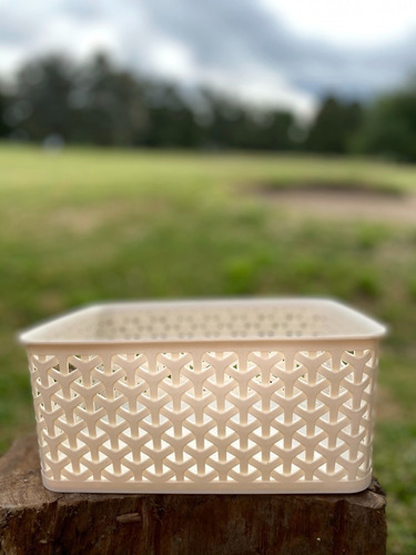 Cesto Canasto Caja Ratan C/ Tapa Juguetes Ropa Chico 25cm