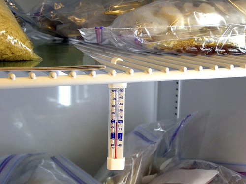 Termómetro De Tubo De Vidrio Vertical Para Freezer/refrigera