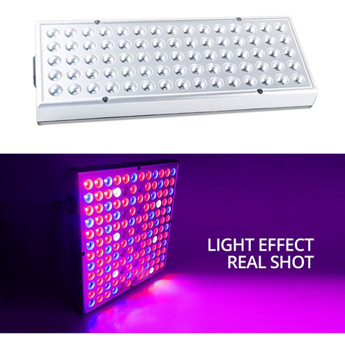 Panel De Lámpara De De Espectro Completo Para Plantas 25w
