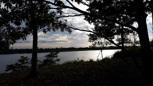 Venta Terreno 4,277 M² Juana Moza Frente Al Rio Tuxpan Veracruz