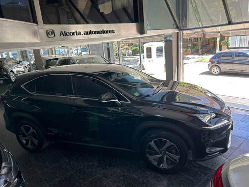 Lexus 300 Nx Hybrid 2019