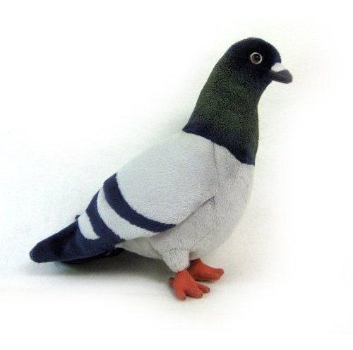 Ad 10 Pigeon Felpa Peluche De Juguete