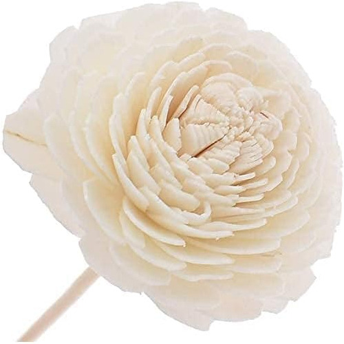 Juego De 10 Varillas Difusoras De Flores, Varillas De M...