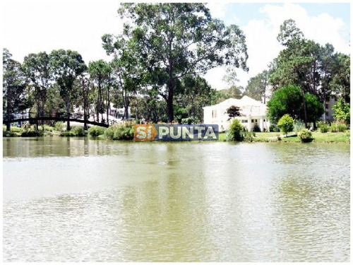 Imagen 3 de 30 de Apartamento En Alquiler Anual