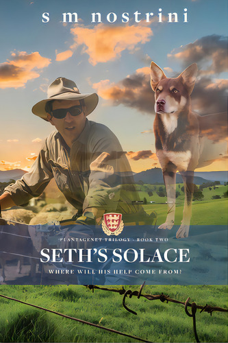 Seth's Solace, De Nostrini, S. M.. Editorial Wilkins Farago, Tapa Blanda En Inglés