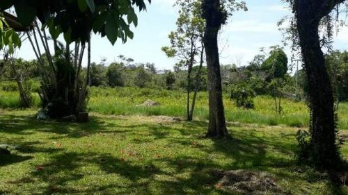 Imagem 9 de 14 de Chácara À Venda Em Itanhaém Medindo 5050m² De Área Total!