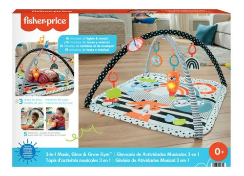 Fisher-price Ginásio Para Bebês De Atividades Musical 3 Em 1