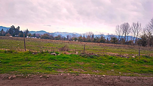 Las Mercedes