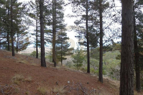 Terreno Tunquén: Naturaleza Y Vista Al Mar