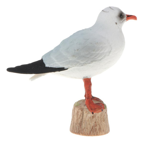 Figuras De Modelo De Gaviota De Cabeza Negra
