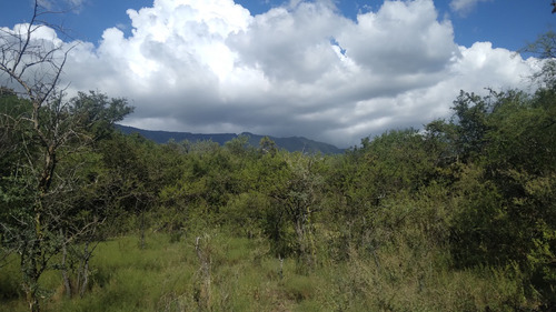 Se Vende Terreno De 1.25 Ha, Con Vista A Las Sierras (excelente Oportunidad) / Ubicación; Traslasierra, Cruz De Caña, Córdoba.