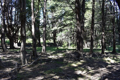 Sitio En Venta En Palena