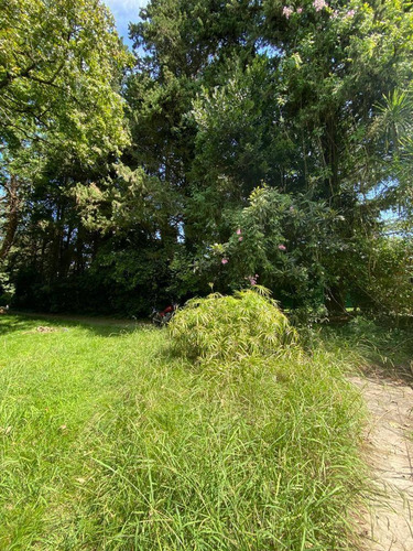 Imagen 14 de 17 de 27 Entre 420 Y 422 - Lote En Venta - Villa Elisa, La Plata