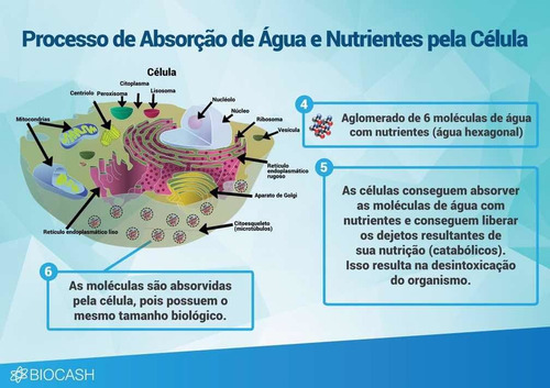 Magnetizador De Água Bio - Pet Saúde E Bem Estar